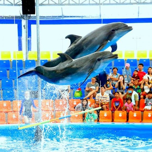 Diverse, joyful travelers exploring ancient temple ruins.